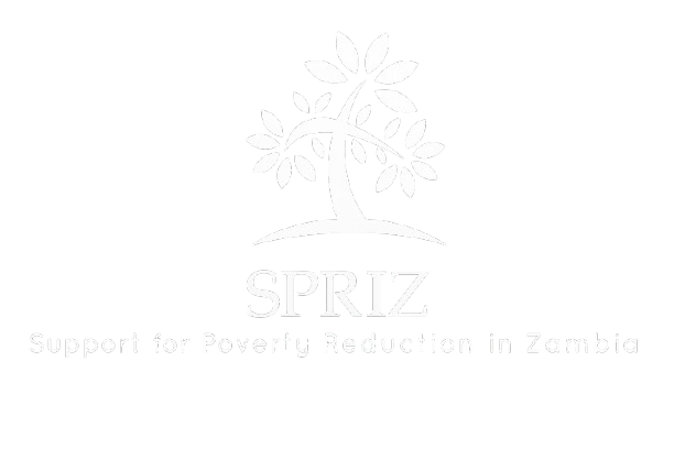 Support for Poverty Reduction In Zambia